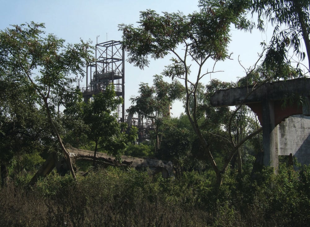 At the abandoned factory grounds in Bhopal, vegetation has overtaken the MIC unit.